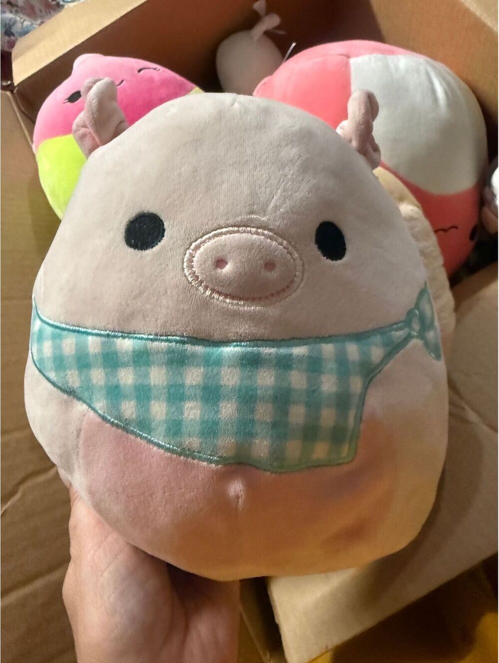 Peter the Pink Pig Squishmallow